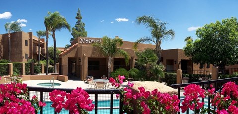 a resort with a swimming pool and palm trees